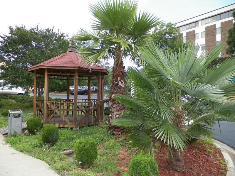 Days Inn By Wyndham Raleigh Midtown Bagian luar foto
